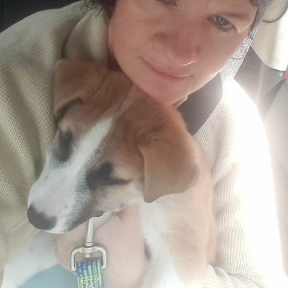 Meet your Posher, Lisa - Picture 1 of 1